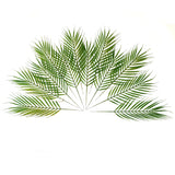 Pack of 12 Artificial Palm Leaves 44cm