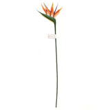 Artificial Strelitzia Bird of Paradise Flower Stem