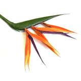 Artificial Bird of Paradise Flower Stem 66cm
