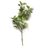Artificial Variegated Patchouli Leaf Spray 31cm