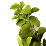 Artificial Patchouli Leaf Spray 31cm