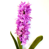 Artificial Hyacinth Flower Stem - Pink