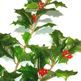 Artificial Holly Branch with Red Berries 51cm