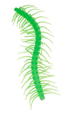 Green Stretchy Caterpillar Sensory Toy