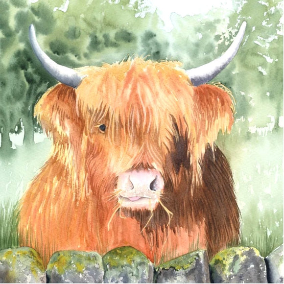 Highland Cow Gifts