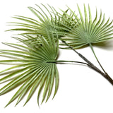 Artificial Fan Palm Spray 60cm