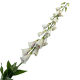 Artificial Foxglove Flower Stem 105cm - Cream