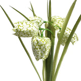 Artificial Fritillaria Flower Bundle 20cm - Cream