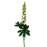 Artificial Lupin Flower Stem 81cm - Cream