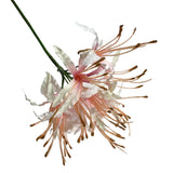 Artificial Nerine Flower Stem 70cm - Pink