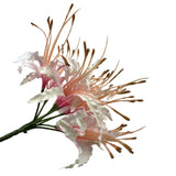 Artificial Nerine Flower Stem 70cm - Pink