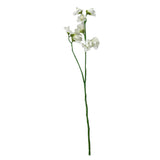 Artificial Sweet Pea Stem With Cream Faux Flowers