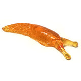 Sticky Slug Toy