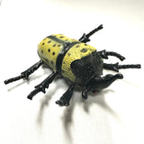 Plastic Beetle Toy