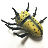 Plastic Beetle Toy
