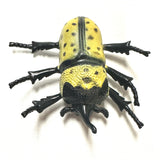 Plastic Beetle Toy