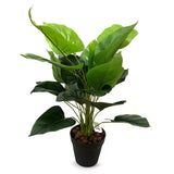 Artificial Queen of Hearts Plant in Black Pot