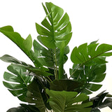 Artificial Monstera Plant in Black Pot 50cm