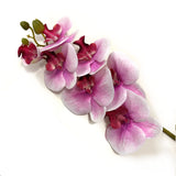 Artificial Fuchsia Pink Phalaenopsis Orchid Flower Stem 75cm