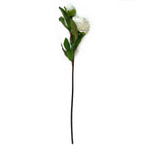 Artificial Large Peony Ivory Flower Stem 77cm