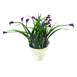 Artificial Mini Calla Lily Flowering Plants in White Pot