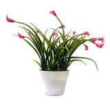 Artificial Mini Calla Lily Flowering Plants in White Pot