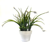 Artificial Mini Calla Lily Flowering Plants in White Pot