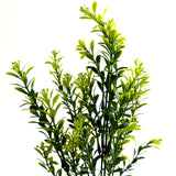 Artificial Tea Leaf Plant 33cm