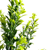 Artificial Tea Leaf Plant 33cm