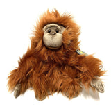 28cm Orangutan Soft Toy