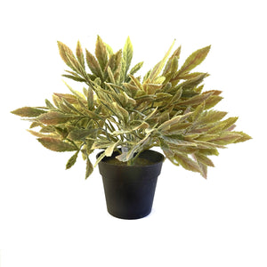 Artificial Sage Bush in Black Pot