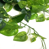 Artificial Trailing Pothos Bush 68cm