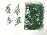 100 Artificial Asparagus Fern Sprays 12cm - Dark Green
