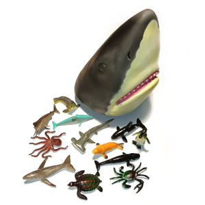 Shark Head Tub Container with Sealife animal figures