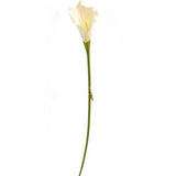 Artificial Calla Lily Cream Flower Stem 62cm