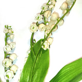 Artificial Faux Lily of the Valley Flower Stem 60cm