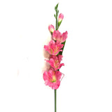 Artificial Gladiolus Flower Stem 58cm Pink