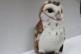 25cm Barn Owl Soft Toy