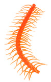 Orange Stretchy Caterpillar Sensory Toy