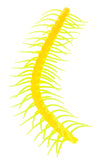 Yellow Stretchy Caterpillar Sensory Toy