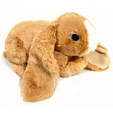 25cm Lop Eared Rabbit Soft Toy