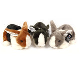 Rabbit Soft Toy Stuffed Animal Collection