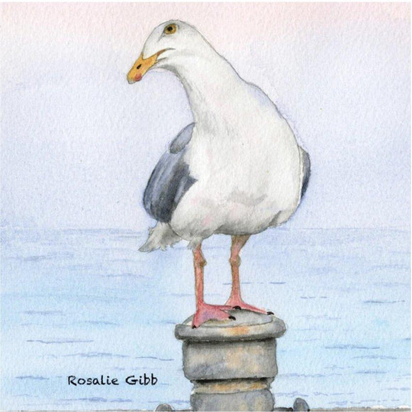 Seagull Greetings Card by Rosalie Osborne Gibb