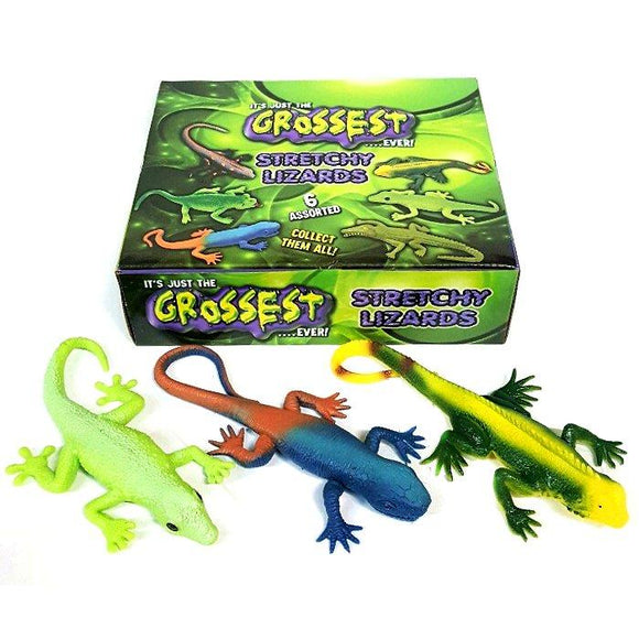 Box of 24 Stretchy Lizard Toys For Groups Schools PTA Fundraising Idea